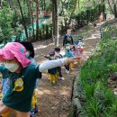 성분도어린이집 이미지