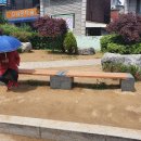 토성초등학교 티스토리