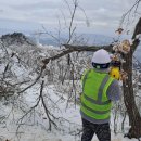 눈길등산로 이미지