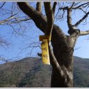 백운천 쉼터 이미지