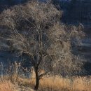 양명고등학교 이미지