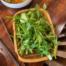 탄금공원 (탄금대로 방향) | 뺑덕산더미오리 | 탄금공원맛집 | 충주맛집 | 탄금대맛집 | 충주오리불고기