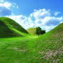 고대1117 이미지