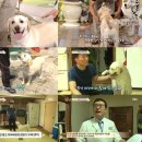 호야농장 이미지