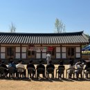 힐링데이 이미지