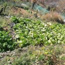 소산농장 이미지