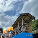 국립공원야생생물보전원 중부보전센터 이미지