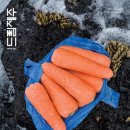 드림제주