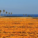 주홍목장 이미지