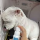 (주)날라주 네이버블로그