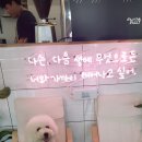 멍사무소 이미지