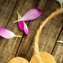 [1급과정] 스피치지도사 1급 이미지