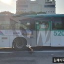 범한프라자.양영디지털고등학교 이미지
