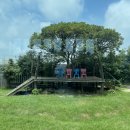 지영상회 이미지