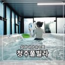 청남대 펜션 | 청주 풀빌라 단체펜션 실내 온수풀 있는 독채펜션 청남대풀빌라