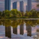 내년 서울국제정원박람회는 서울숲·매헌시민의숲서…최대규모 이미지