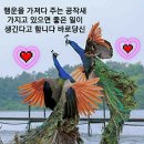 (주)스마트비전 이미지