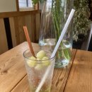 숲속의 이글루 이미지