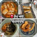 박대박맛집 | [충남 태안] 박대박맛집 | 애견동반 가능한 안면도맛집 추천, 갈치조림부터 갑오징어덮밥까지 완벽했던 곳
