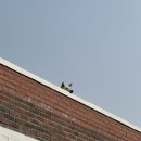 나노로그스토어 | [진도] 나노로그 스토어 - 브런치카페 애견동반카페 추천 내돈내산 솔직후기