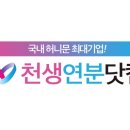 천생연분 머니투데이