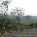 반딧불이 캠핑장 이미지