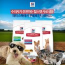 Healthy Cat 네이버블로그