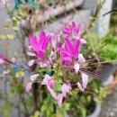 부흥경로당 이미지