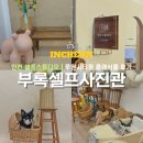 부록셀프사진관셀프스튜디오 - 화성시 동탄영천로 131 | 인천 셀프스튜디오 부록셀프사진관 루원시티점 클래식룸 후기