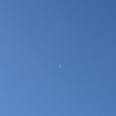 달빛의 대화 이미지