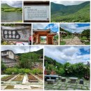 울산사랑의지팡이 이미지