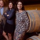 BDM(비디엠) 이미지