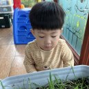 (자연탐구 영역)귀이 물주기 새로운 방법 💧🌱 이미지