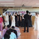 귀일민들레집 이미지