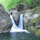 오천농업협동조합하나로마트 이미지