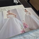 아이리스 | 아이리스 웨딩 스드메 상담 후기 당일계약 혜택 가성비스드메