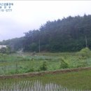 손양면사무소 이미지