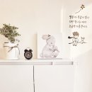 안쌤독서논술