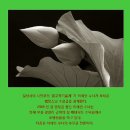 맑고 향기롭게 이미지