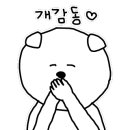 춘천 고양이집 이미지