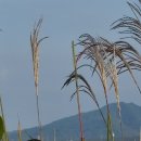 추정1리 이미지