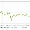 신흥페인트