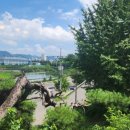 함안소갈비찜 이미지