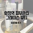 일산 화정 피부관리 맛집 그레이스뷰티 트로이필 관리후기