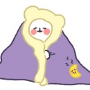 나의 댕댕이 이미지