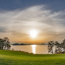 파인비치 이미지