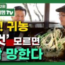 봉평약초