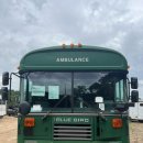 블루버드 이미지