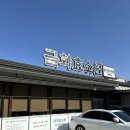 금화환경 | 제주도 여드름, 체질개선에 효과 본 사람의 후기 "금화효소원 제주"