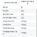 주간탁구 이미지